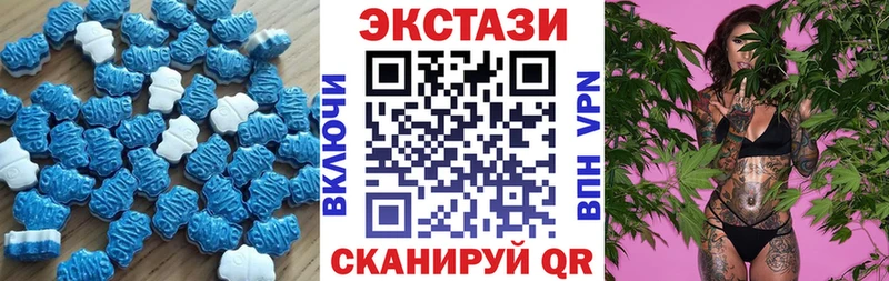 магазин Гвардейск ЭКСТАЗИ Philipp Plein