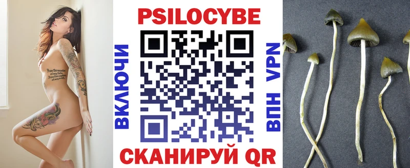 ОМГ ОМГ ссылки  Гвардейск  Галлюциногенные грибы мухоморы 